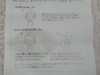 2011-05-20 00:07:44 by chaya1004さん 2011-05-20 00:07:44 by chaya1004さん