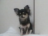 ロン0505さん