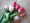 �r���������@ROSE����