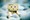 Shoppy����