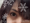 euzok.mさん euzok.mさん