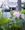 lot@s����