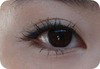 �t�@�V�I / �V�F�[�h�g���b�N�A�C�Y�iby mihuyu������j