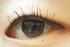 2012-04-30 18:36:23 by pocconyさん