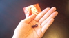 2011-09-17 02:21:06 by りーすけたんさん 2011-09-17 02:21:06 by りーすけたんさん