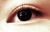 2011-12-04 12:54:14 by Yuriaさん 2011-12-04 12:54:14 by Yuriaさん