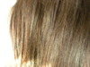 2012-05-08 19:01:53 by �ނ炳�������Ԃ�����
