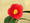 �l�r�q����