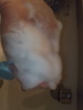 2011-06-17 22:58:47 by aripeeさん 2011-06-17 22:58:47 by aripeeさん