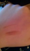 �h�[���[�E�C���N (�I�g�i�߃��C��) / �A�C�u���E�y���V���iby ����-RUI-����j