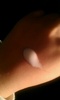 2012-05-17 20:33:00