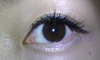 2012-03-28 14:40:08 by ュカリン18110さん 2012-03-28 14:40:08 by ュカリン18110さん