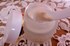 �f�B�[�v���C�X�g�N���[�� - 2012-01-27 09:25:25