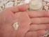 �f�B�[�v���C�X�g�N���[�� - 2012-01-27 09:25:25