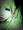 kikirara382さん kikirara382さん