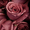 BLUEROSE213さん