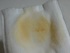 �~�j�N���X�^�� - 2012-01-02 17:26:10