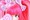 なゆた君さん なゆた君さん