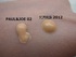 ���g�D�[ �G�N�� �y���t�F�N�V�I�� 2012 - 2012-05-26 21:15:06