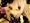 ゆめみどりさん ゆめみどりさん