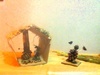 photo:01