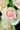 mitsuu74����
