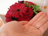 2012-05-28 09:34:48 by risaberryさん 2012-05-28 09:34:48 by risaberryさん