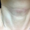 PURELINO(�s���A���m) / �q�A�������_�@�s���A���m�iby �������}�}����j