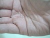 2012-05-05 00:34:51 by rina3324さん 2012-05-05 00:34:51 by rina3324さん