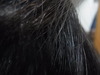 2011-12-11 18:16:00 by miumiunimoさん