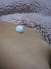 2011-12-07 03:57:14 by しほコさん 2011-12-07 03:57:14 by しほコさん