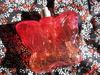2011-11-29 14:56:39 by 桃果。さん 2011-11-29 14:56:39 by 桃果。さん