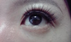 2011-05-29 14:44:41 by るん*るんさん