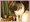 Mii***さん