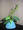 grass-glass*������
