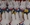 miffy213����