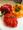 oenophile-bordeaux����