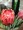 maikii/Y����
