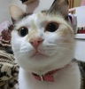 canaruruさん