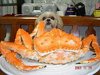 �݂̂�g����