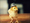 chikagecoさん