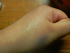2012-02-20 01:30:43 by YaMaMieさん