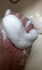 ���R���s�̃X�X���I�@�`�ʐ^�D���̏��q���_�C�A���[�` by kanama2����