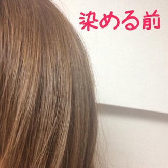 投稿写真