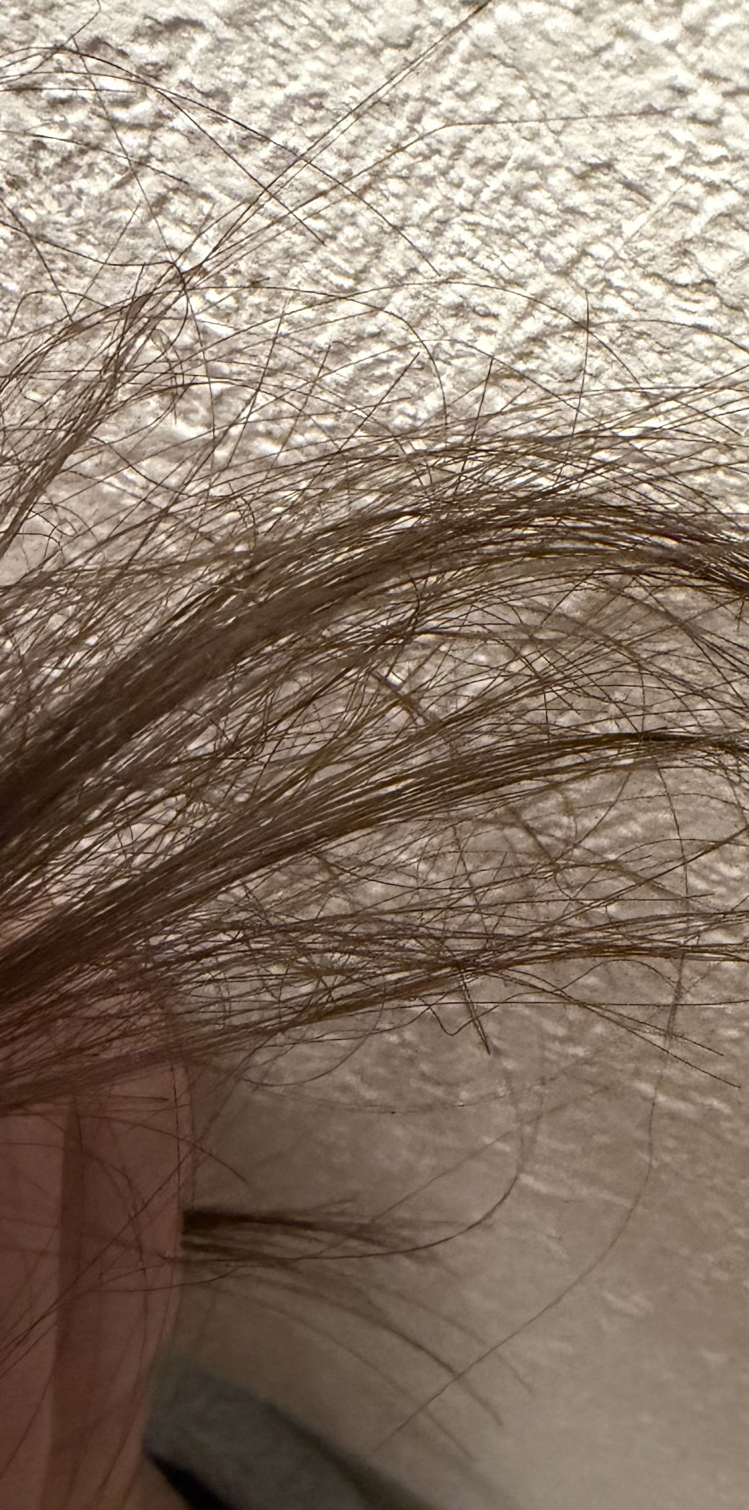 髪の毛by 匿名さんの画像