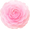 ・*◆*・ソワン・*◆*・さん ・*◆*・ソワン・*◆*・さん