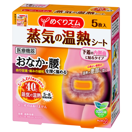 Steam Heating Patch (Under Clothes Type) / MegRhythm