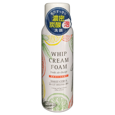 Dense Foaming Face Wash / JAPAN GALS