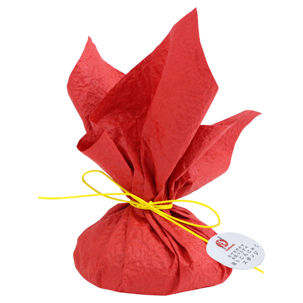 Frozen Konjac Sponge (Camellia) / Makanai Cosme