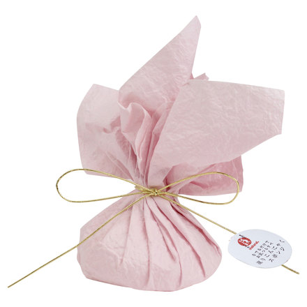 Frozen Konjac Sponge (Sakura) / Makanai Cosme